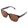 Lunettes De Soleil Red Bull Spect Cary Shiny Havana Brown