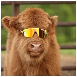 Lunettes De Soleil Pit Viper Originals Double Wides Polarized The 1993 7 Lunettes De Soleil Pit Viper Originals Double Wides Polarized The 1993 -Julbo Boutique 6f0b5227d2ae9b3e4c8978387ea71cb9676493e9 E22PITVLUN345855 PITV0202946 902