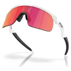 Lunettes De Soleil Oakley Resistor Polished White Prizm Field 10 Lunettes De Soleil Oakley Resistor Polished White Prizm Field -Julbo Boutique 6f6e3d9002e3ff7fbede29bfb213ab4a4a0e51bd E23OAKLLUN346991 OAKL0207400 6