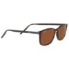 Lunettes De Soleil Serengeti Lenwood Shiny Dark Havana Polarized Drivers